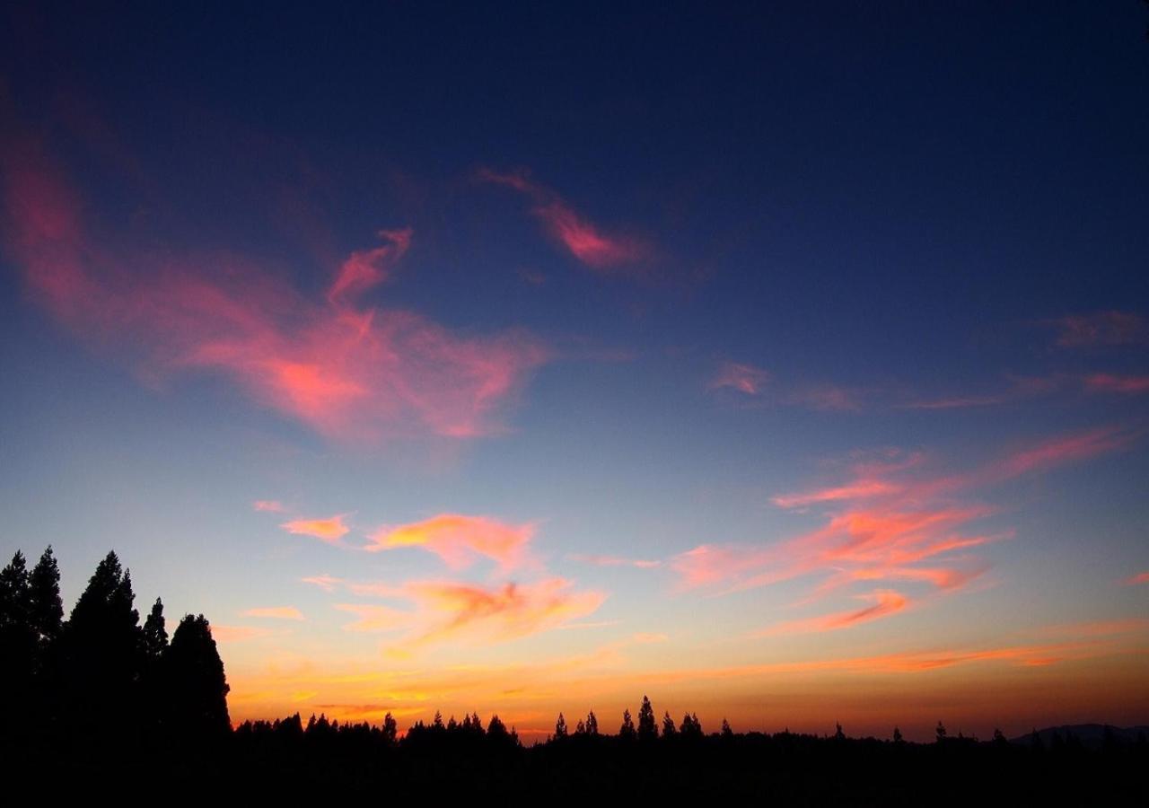 Kamosu Mori Hostel โทคะมาชิ ภายนอก รูปภาพ